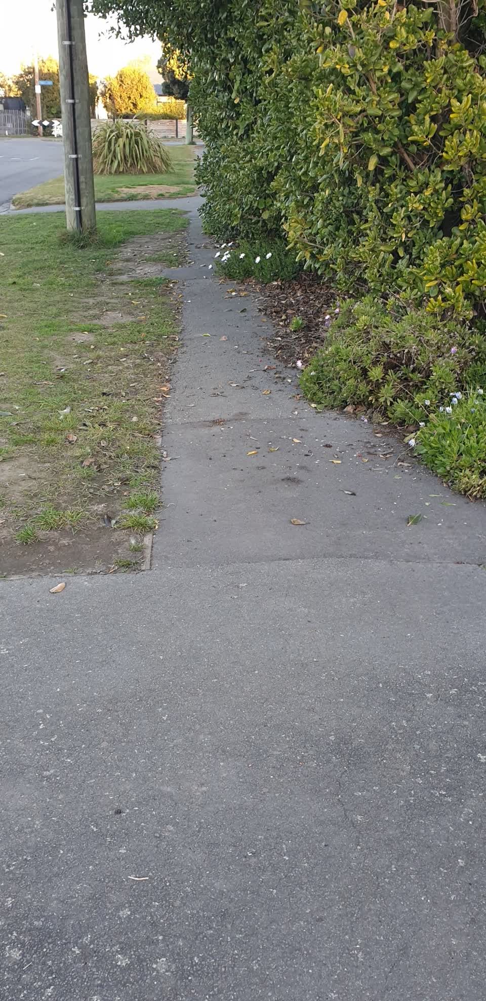 The photograph attached to this roading/streets report