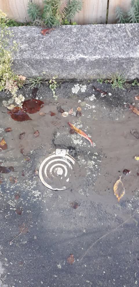 Water Supply, a report photo