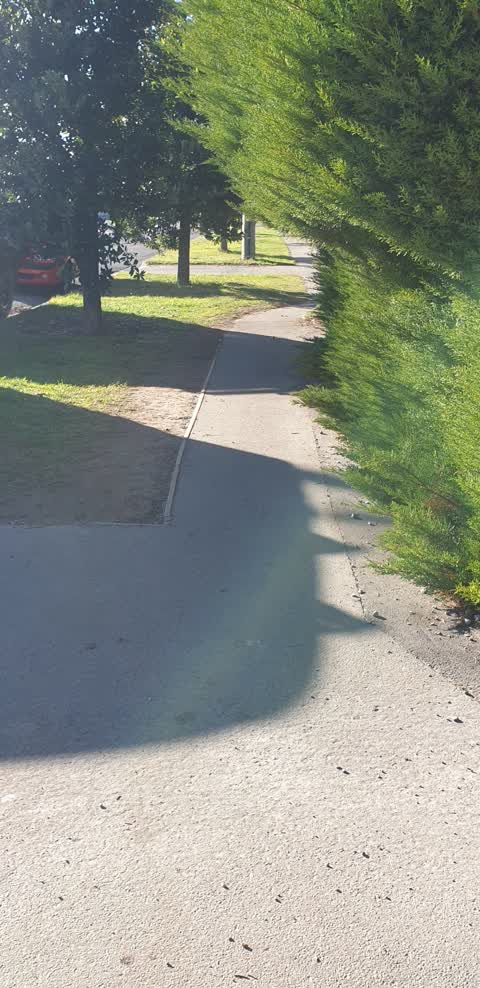 Roading/Streets, a report photo