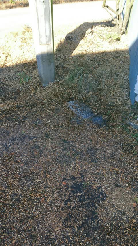 Water Supply, a report photo