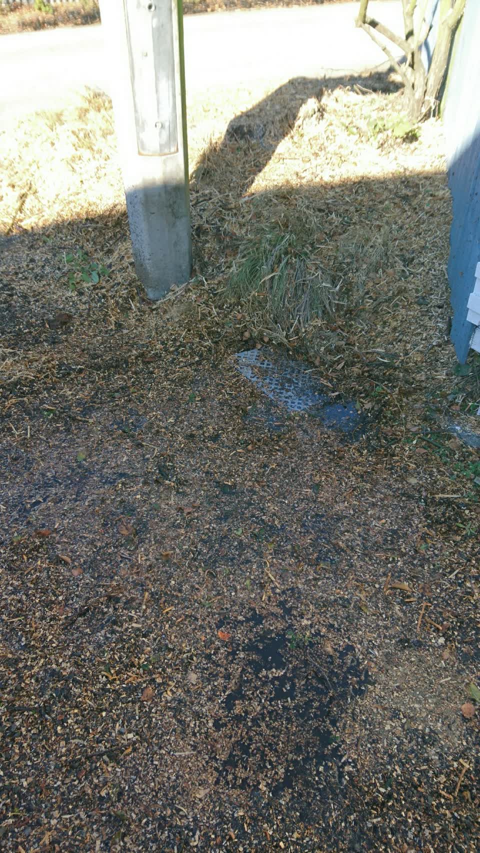 The photograph attached to this water supply report