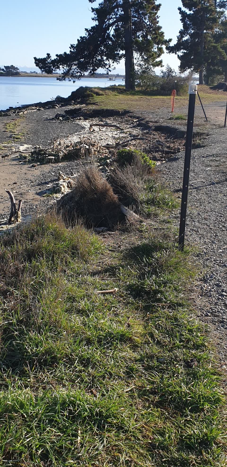 The photograph attached to this parks report
