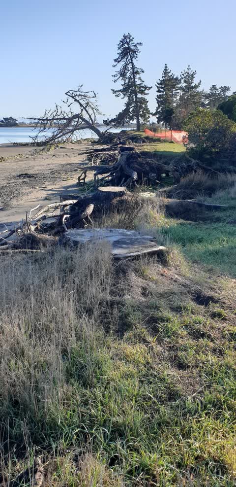 Parks — a report photo