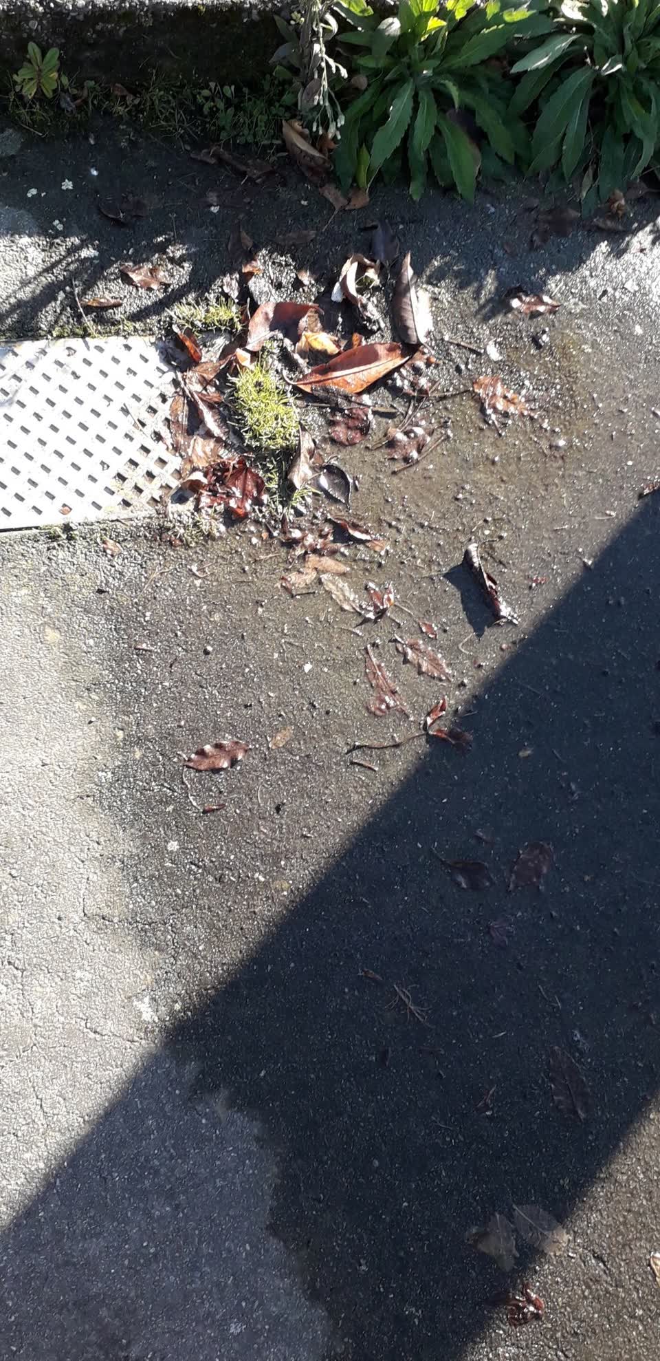 The photograph attached to this water supply report