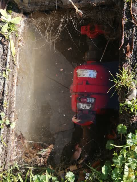 Water Supply, a report photo