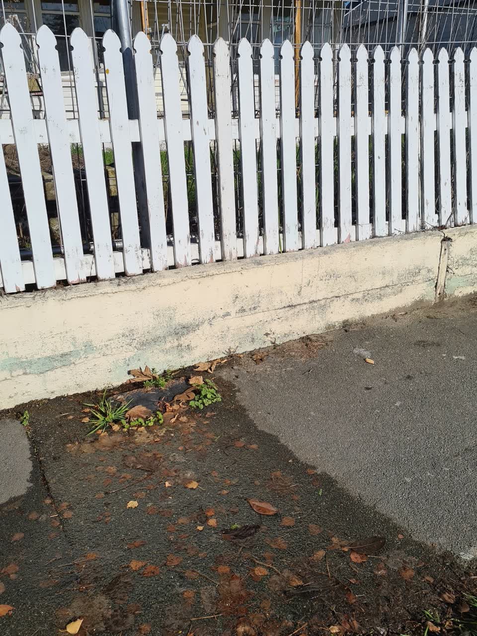 The photograph attached to this water supply report