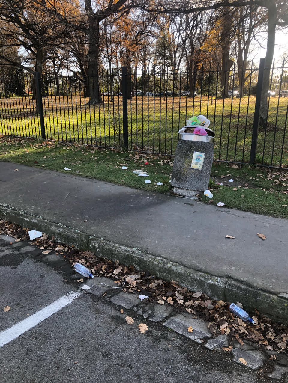 The photograph attached to this rubbish/recycling report