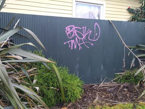 Graffiti, a report photo