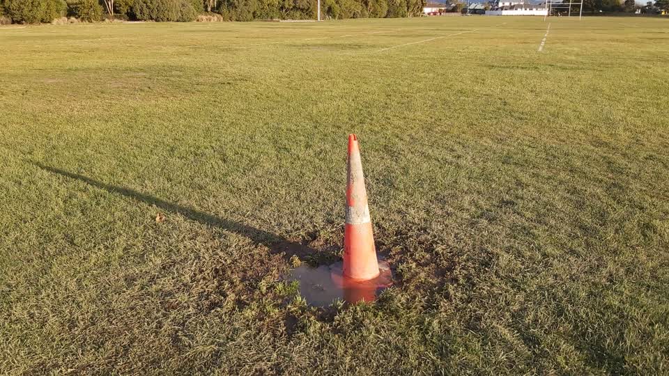 The photograph attached to this parks report