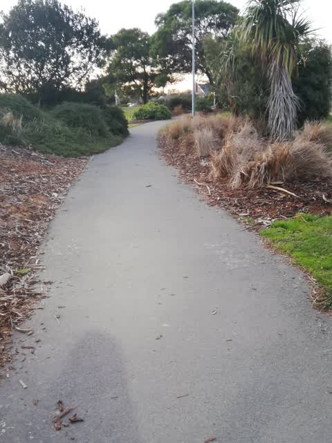 Parks, a report photo