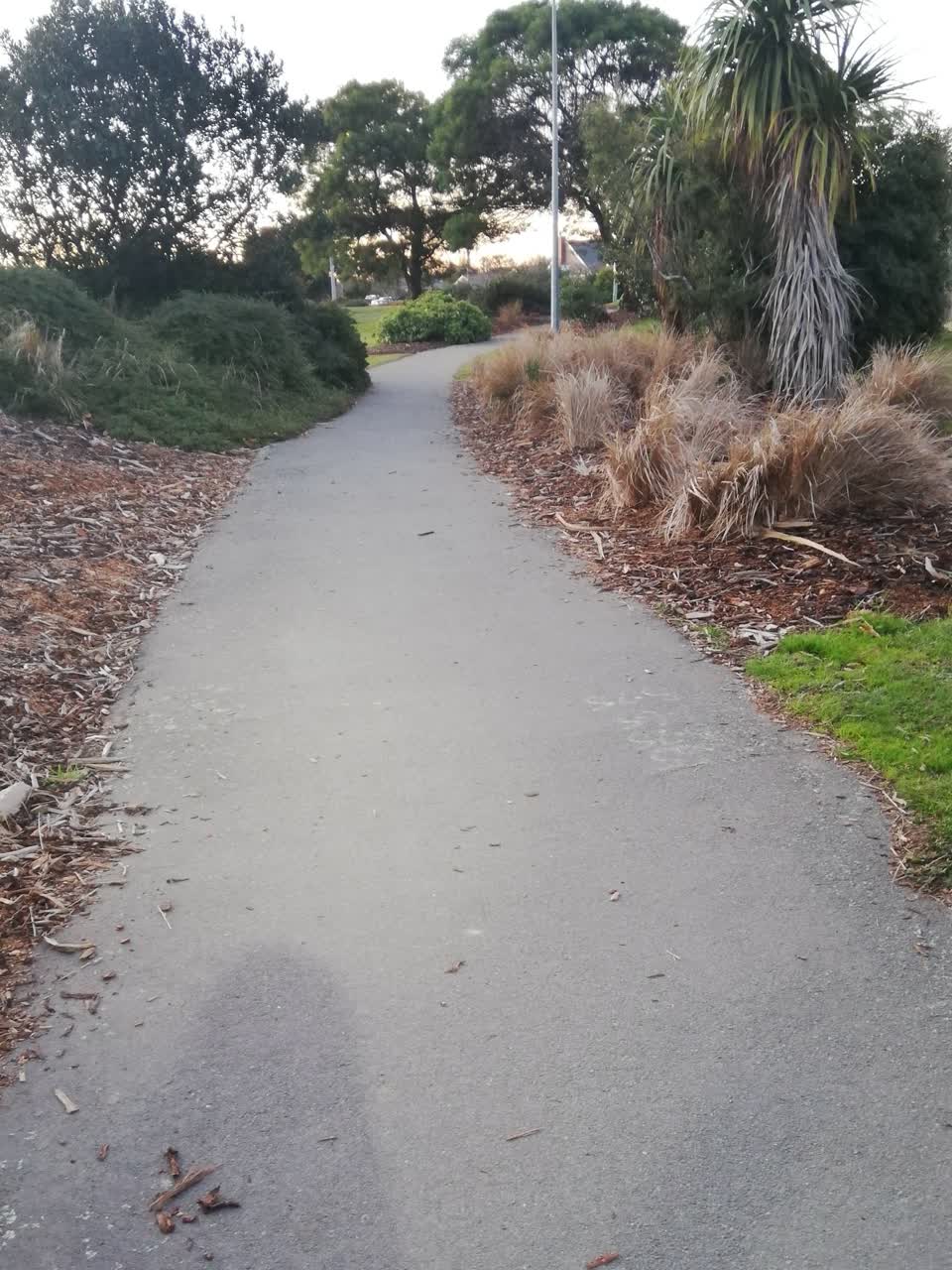 The photograph attached to this parks report