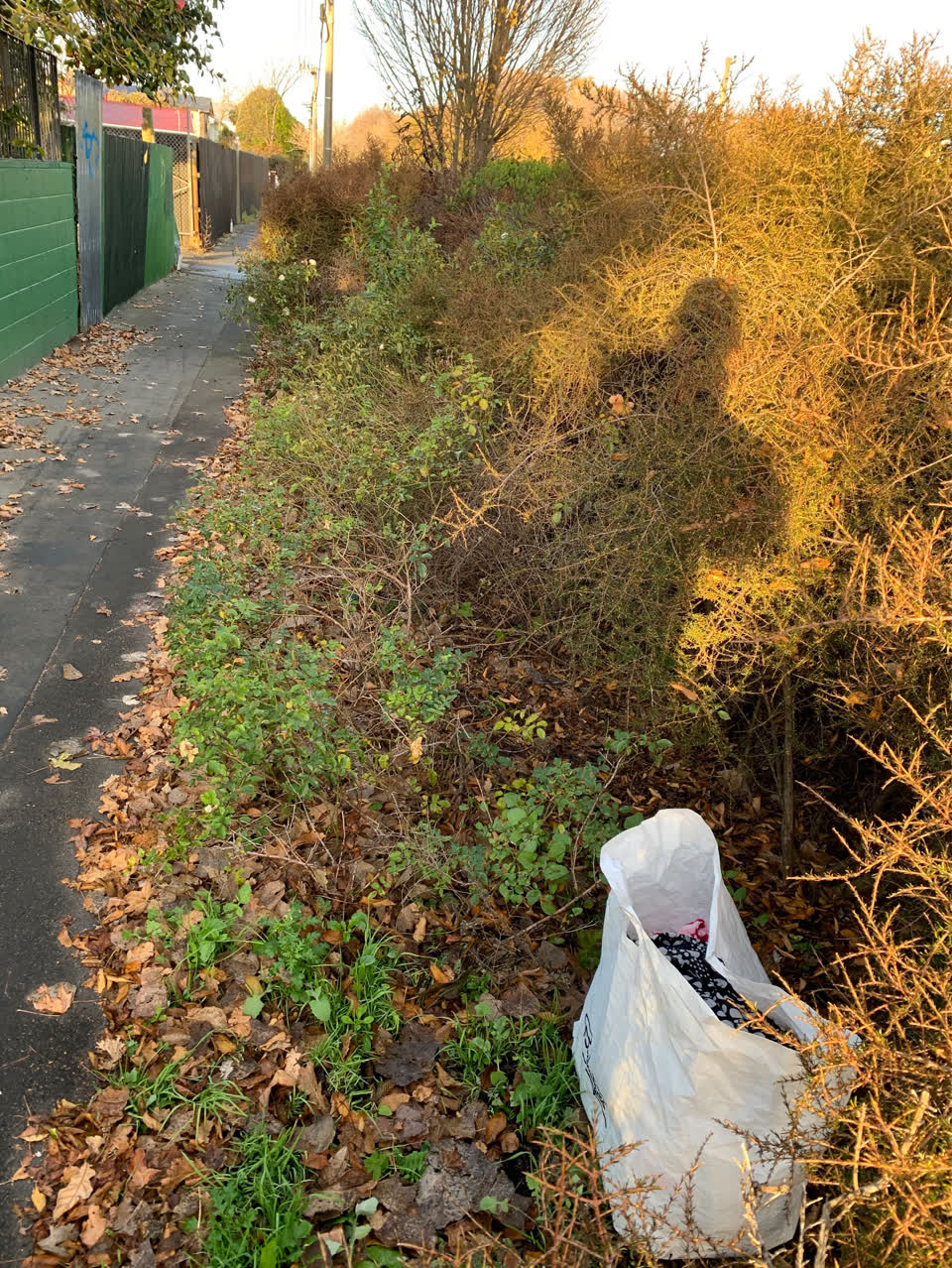 The photograph attached to this rubbish/recycling report