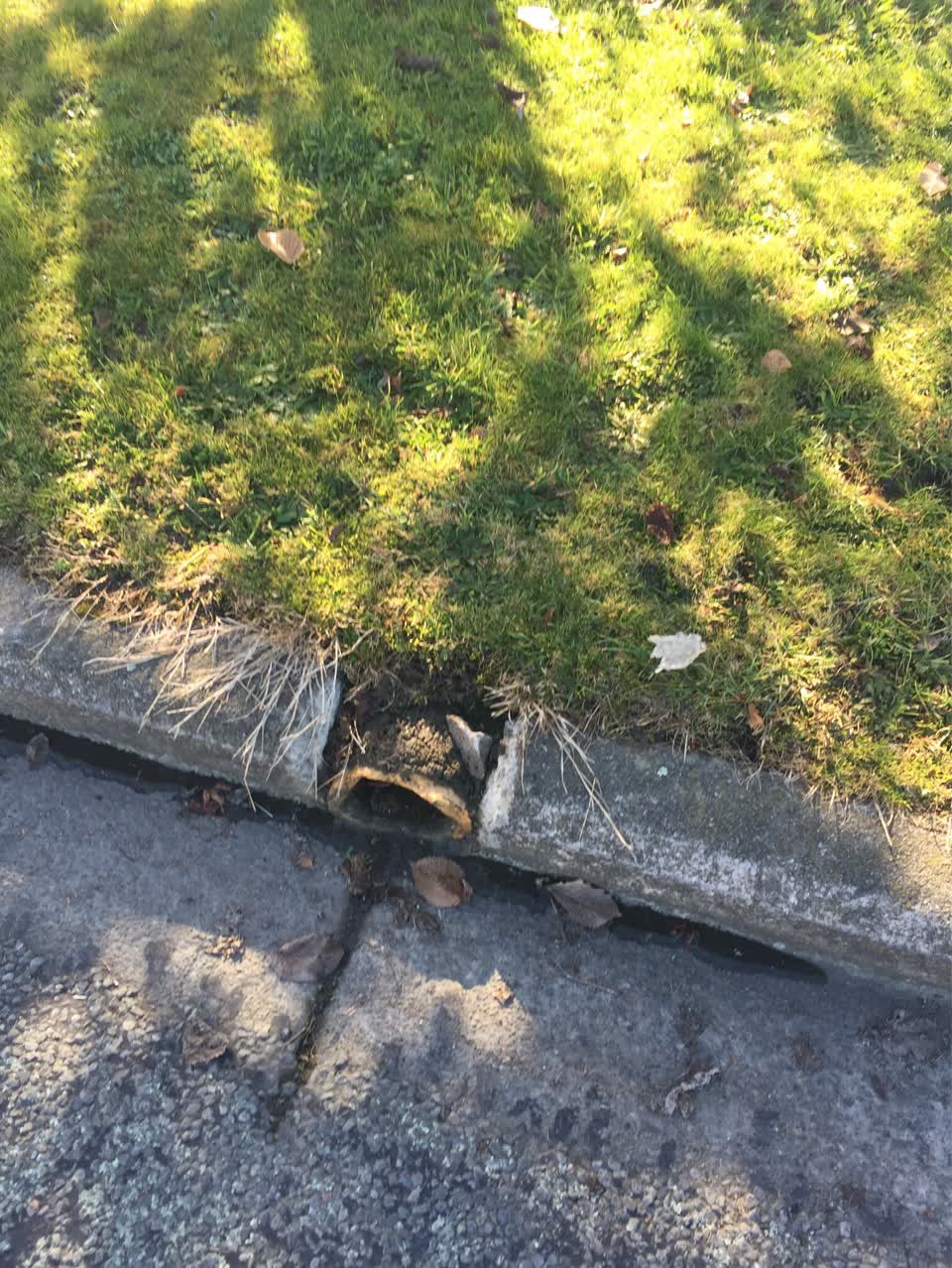 The photograph attached to this wastewater/stormwater report