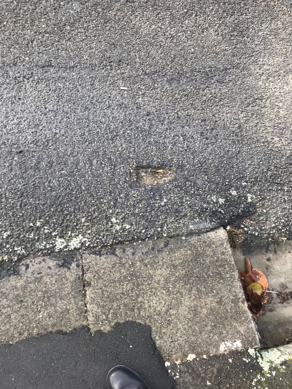The photograph attached to this parks report