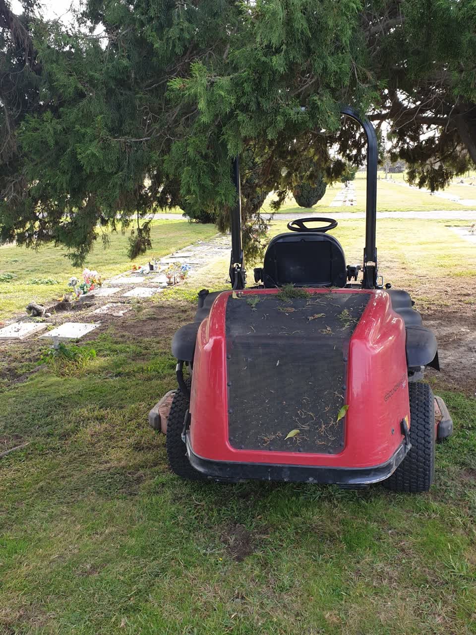 The photograph attached to this parks report