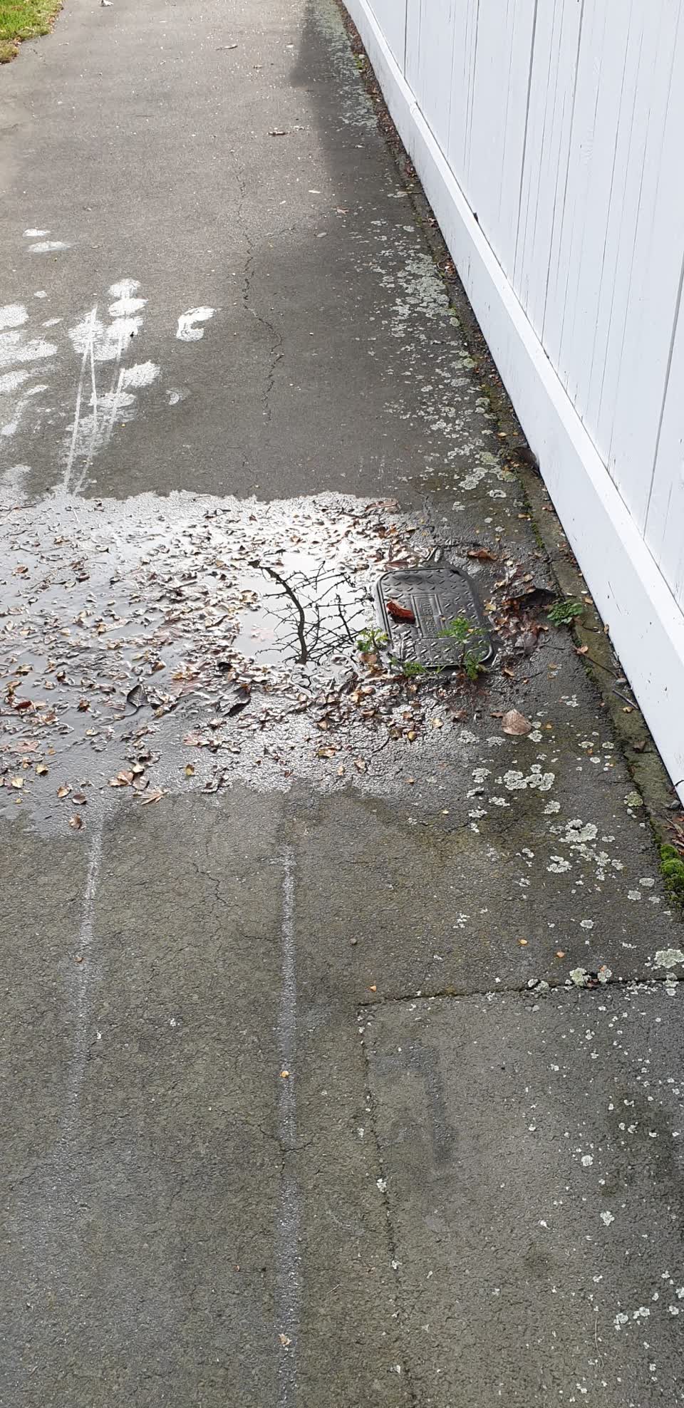 The photograph attached to this water supply report