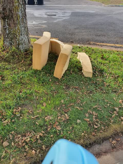 Rubbish/Recycling, a report photo
