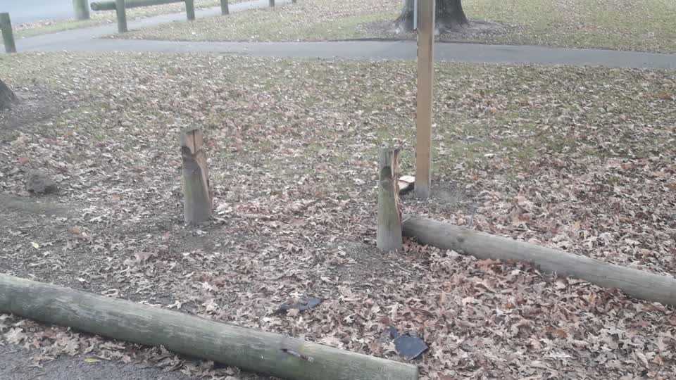 The photograph attached to this parks report
