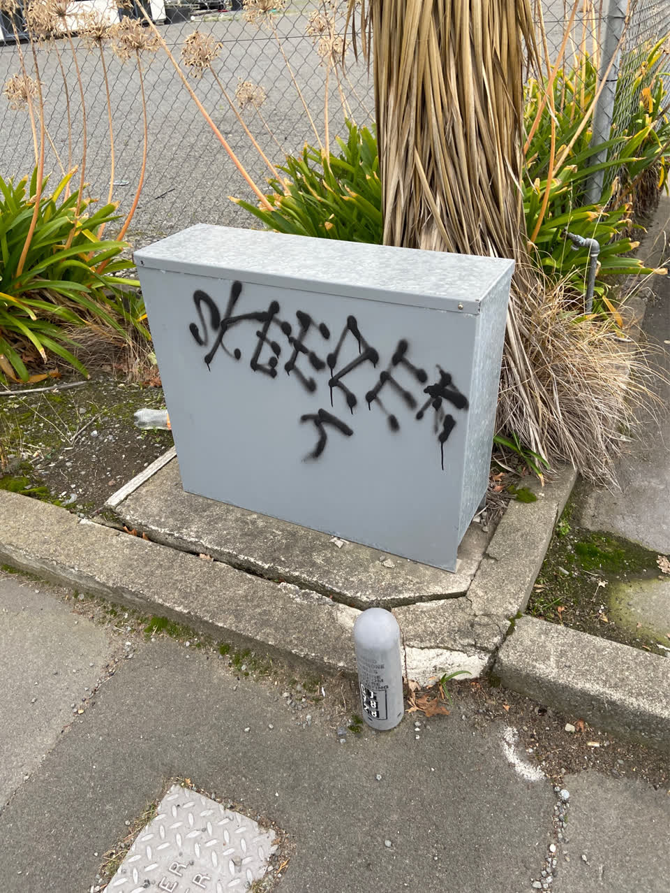 The photograph attached to this graffiti report