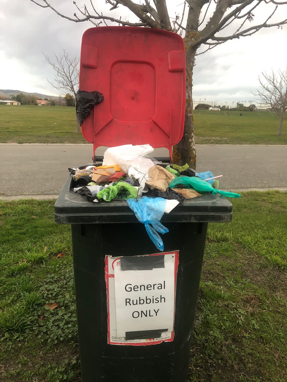The photograph attached to this rubbish/recycling report