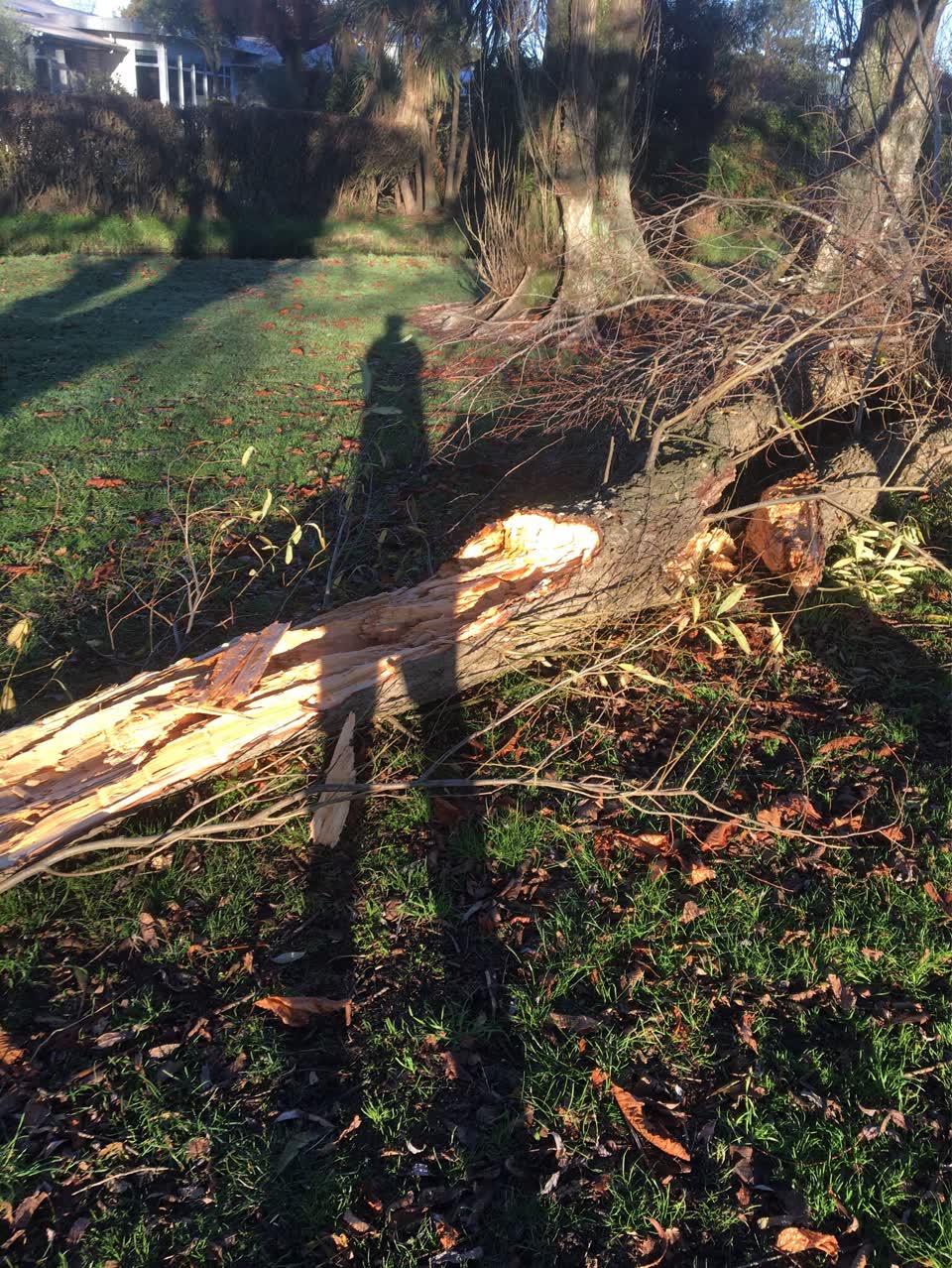The photograph attached to this parks report