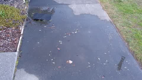 Water Supply, a report photo