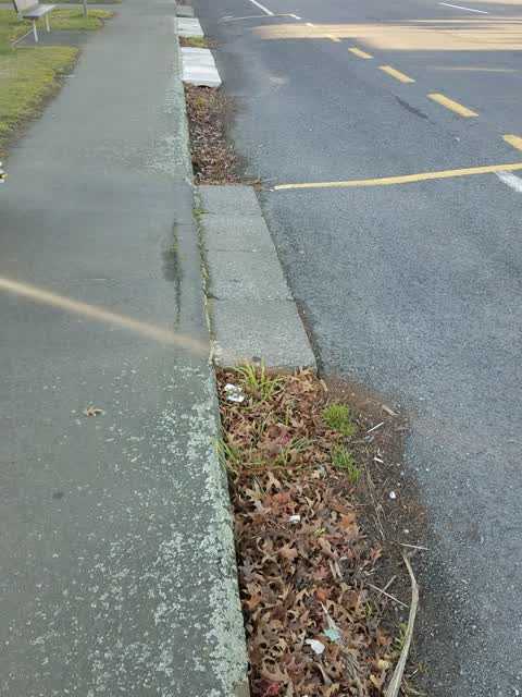 Roading/Streets, a report photo