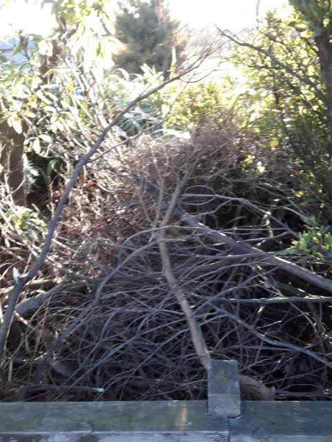 Parks, a report photo