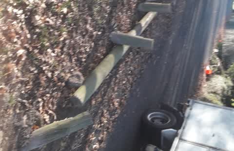 Parks, a report photo