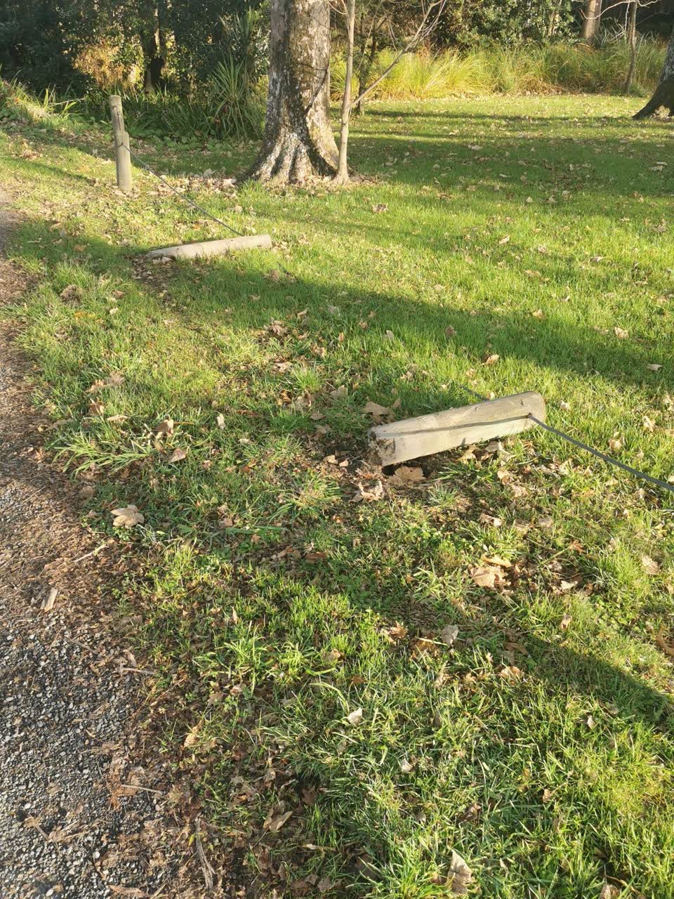 The photograph attached to this parks report