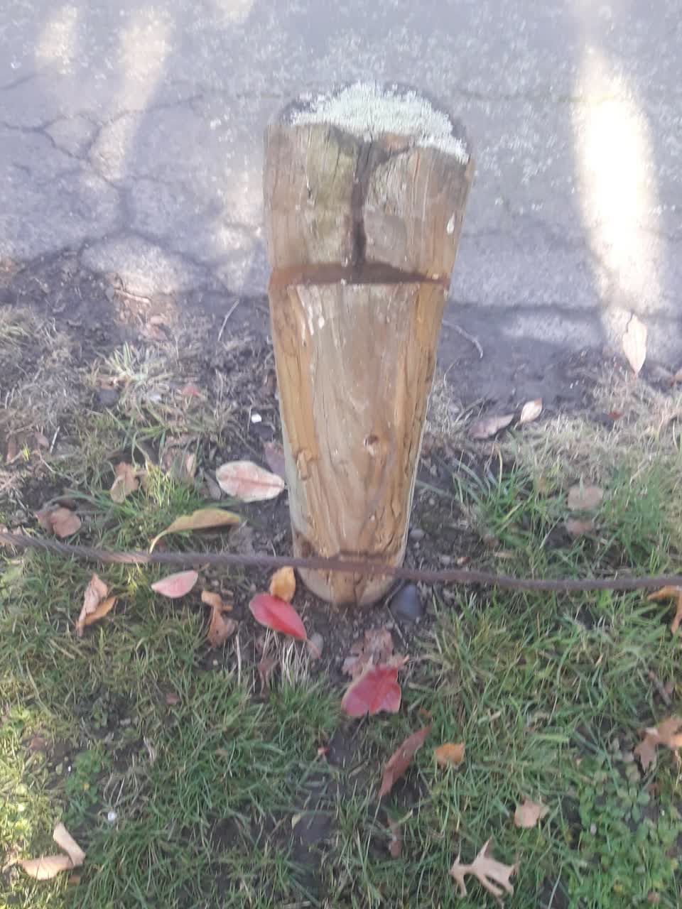 The photograph attached to this parks report