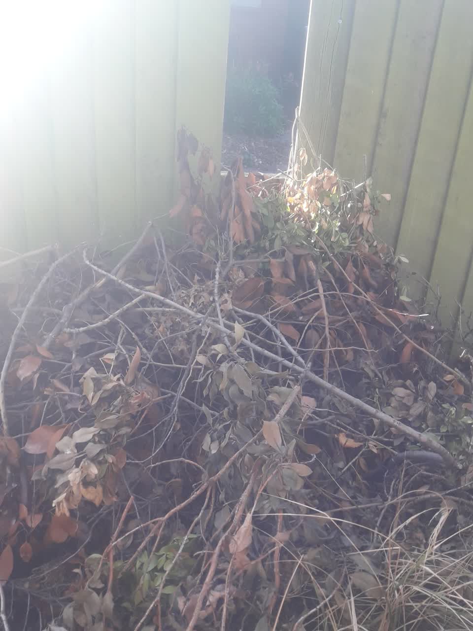 The photograph attached to this parks report