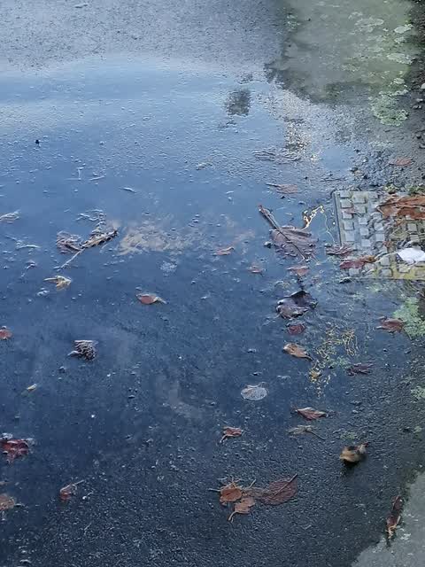 Water Supply, a report photo