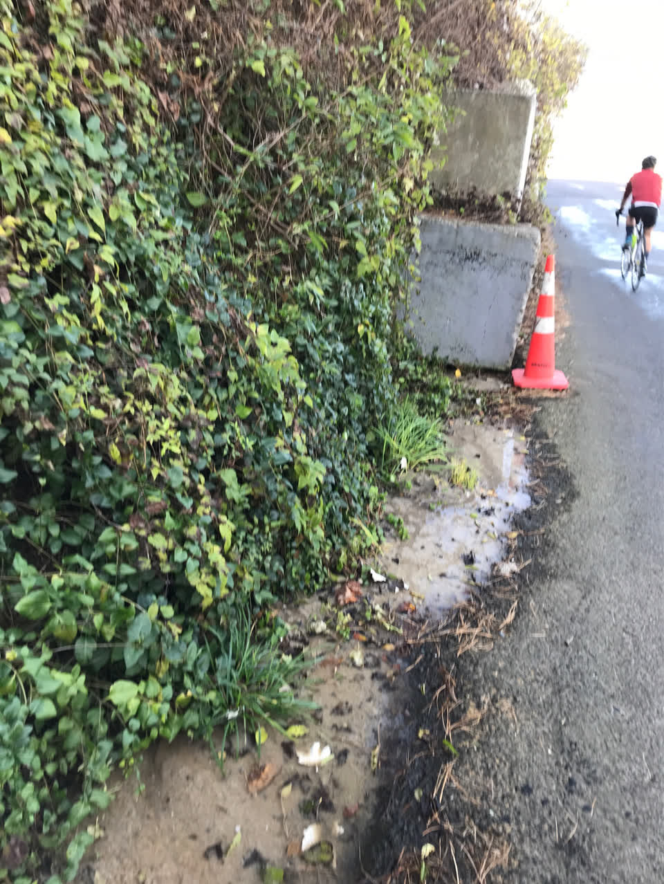 The photograph attached to this wastewater/stormwater report