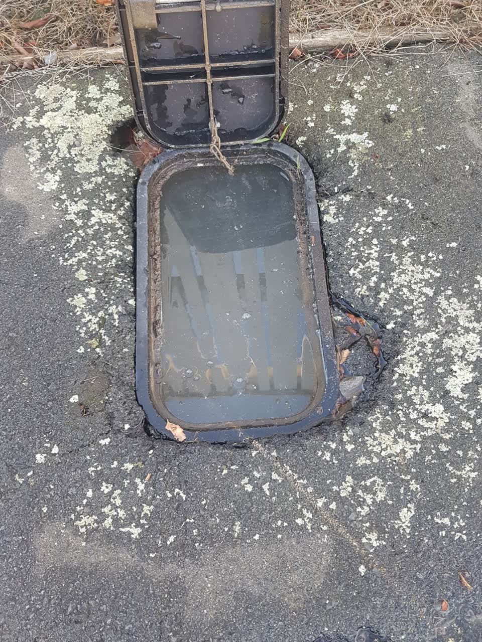 The photograph attached to this water supply report