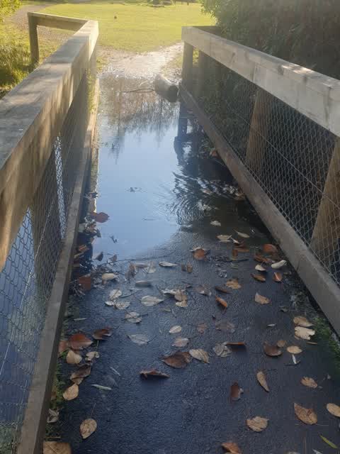 Parks, a report photo