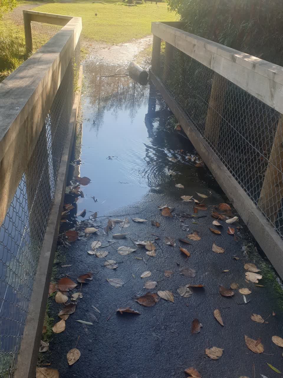 The photograph attached to this parks report