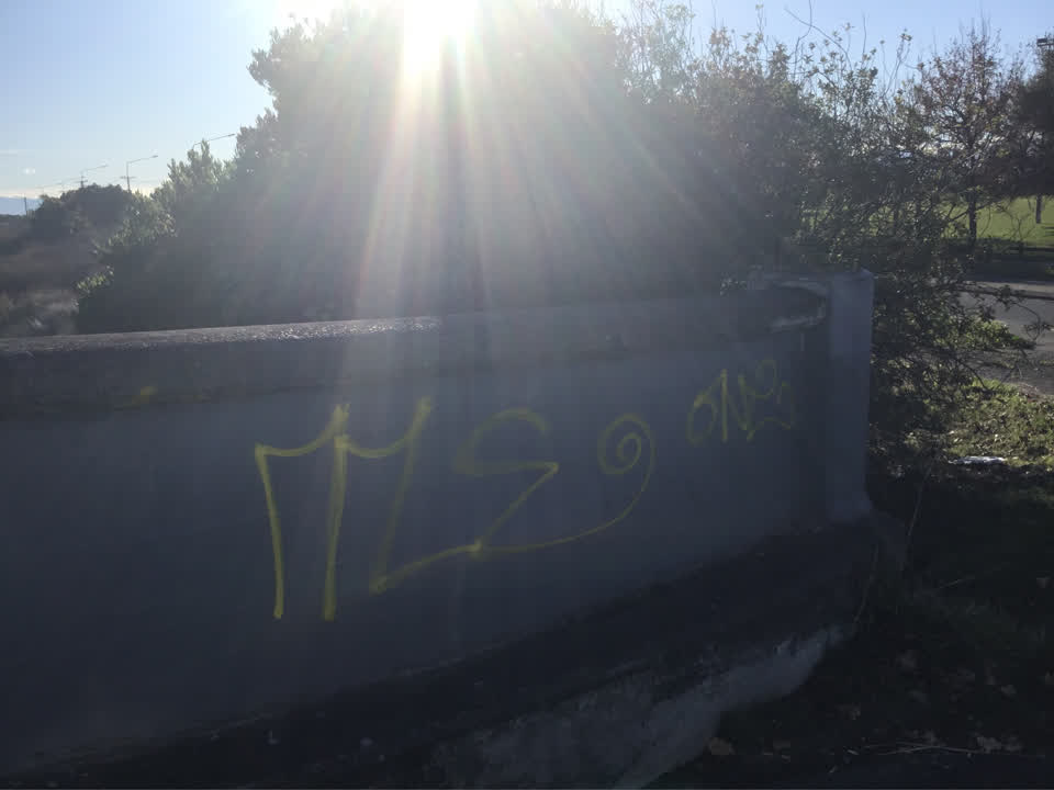 The photograph attached to this graffiti report