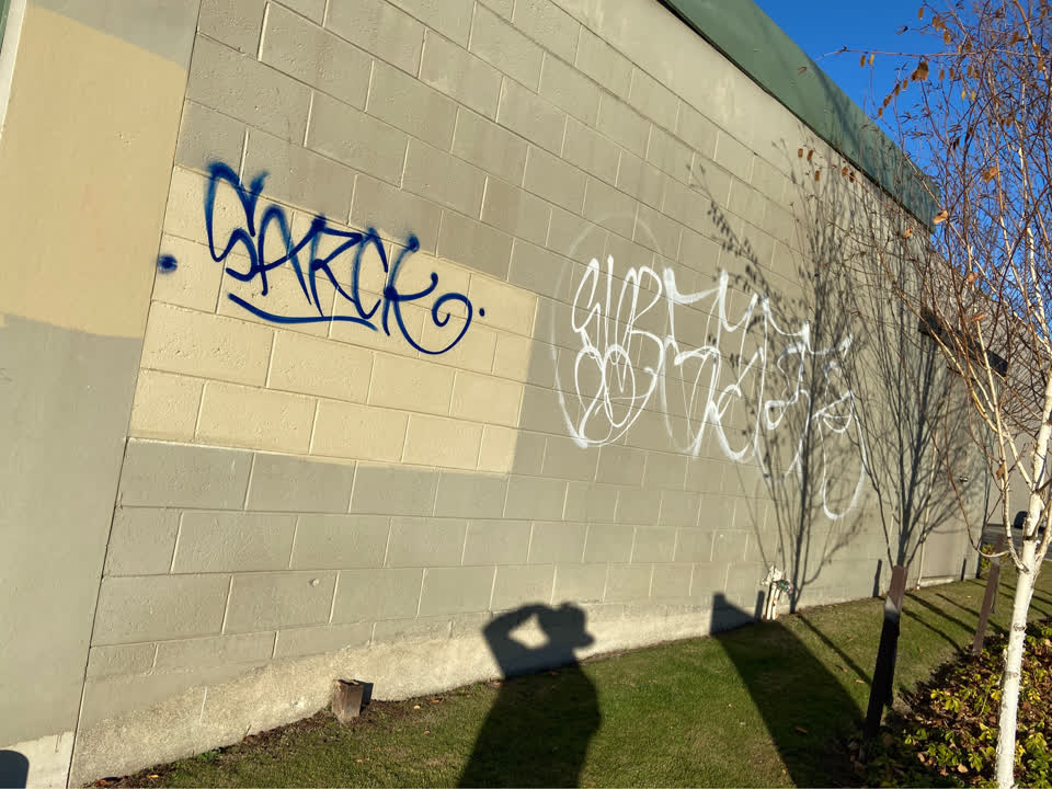 The photograph attached to this graffiti report