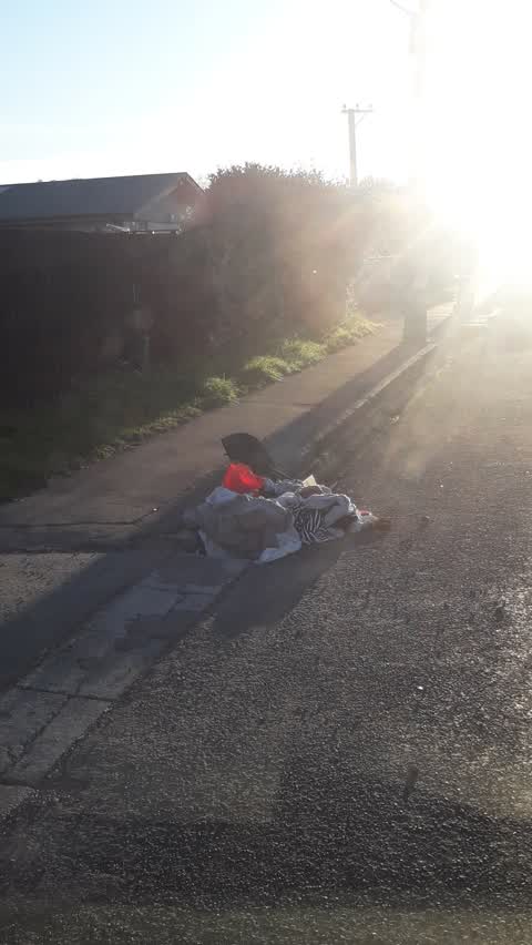 Rubbish/Recycling, a report photo