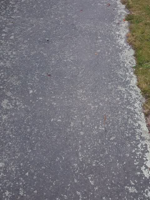 Roading/Streets, a report photo