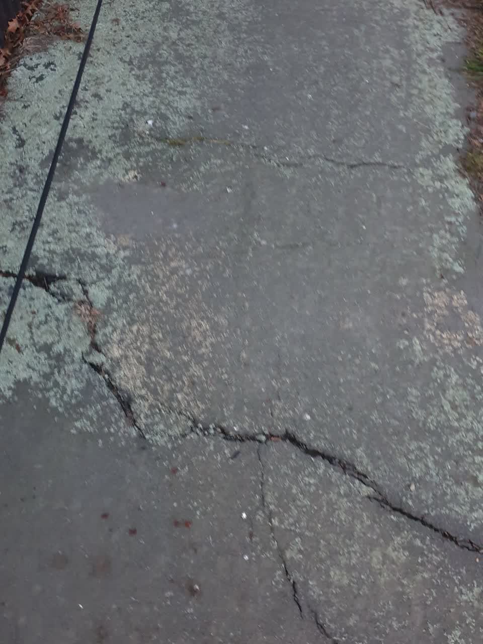 The photograph attached to this roading/streets report