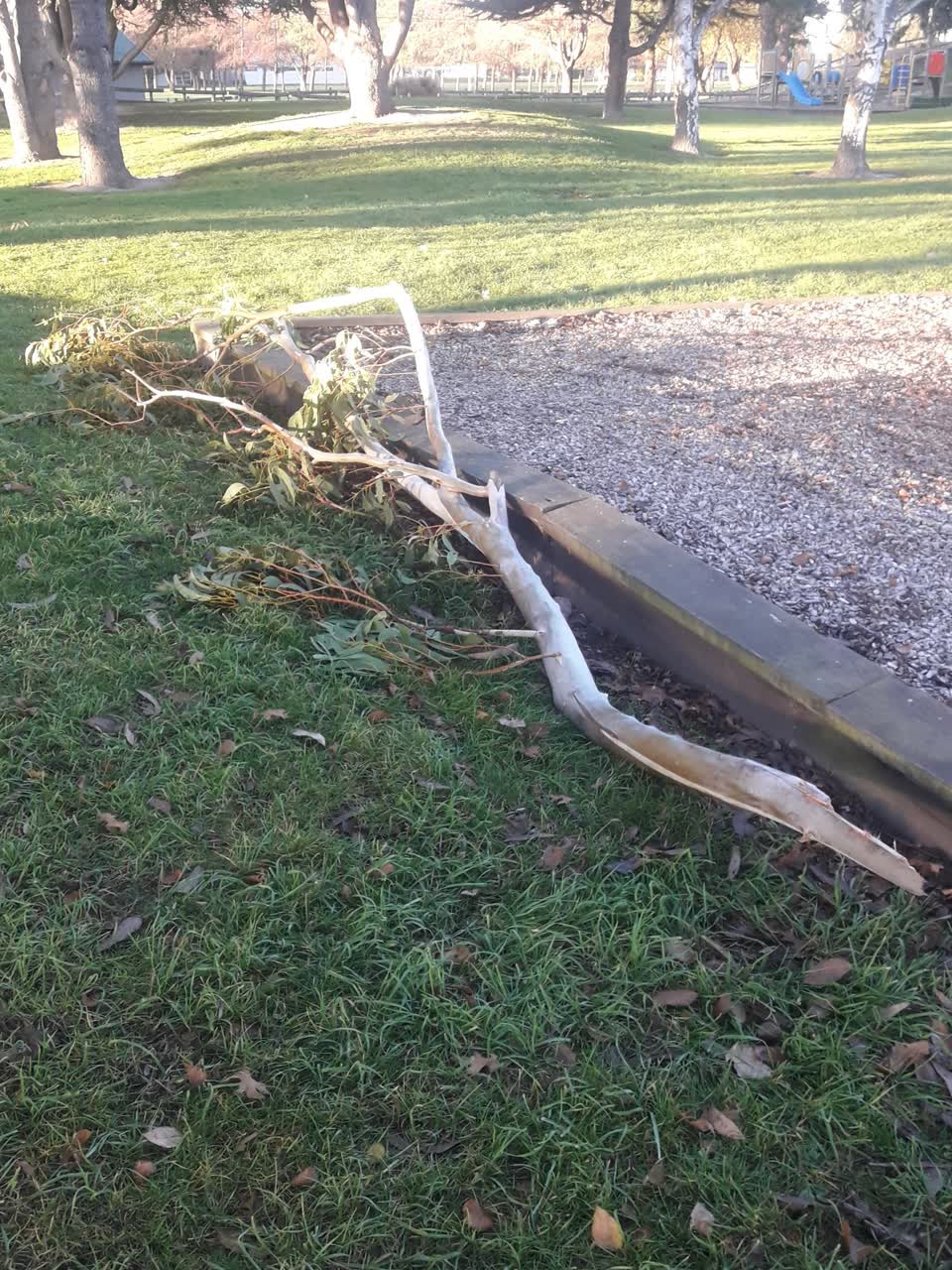 The photograph attached to this parks report