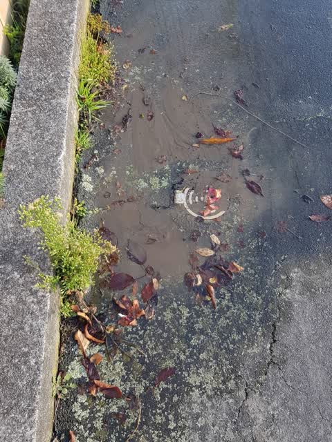 Water Supply, a report photo