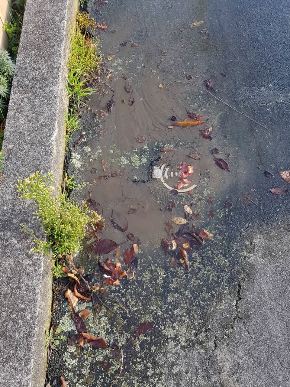 The photograph attached to this water supply report