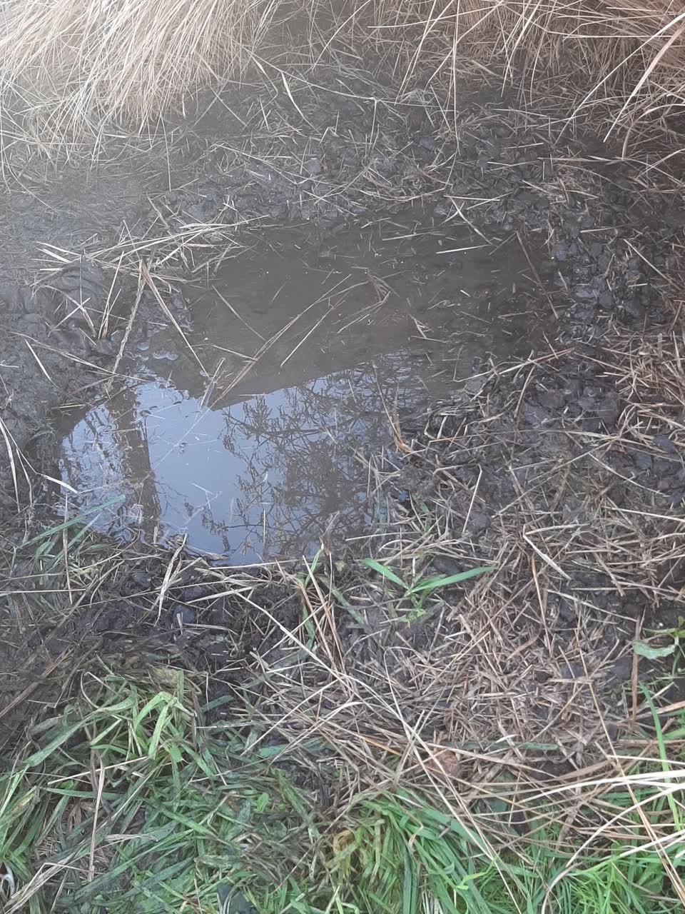 The photograph attached to this water supply report