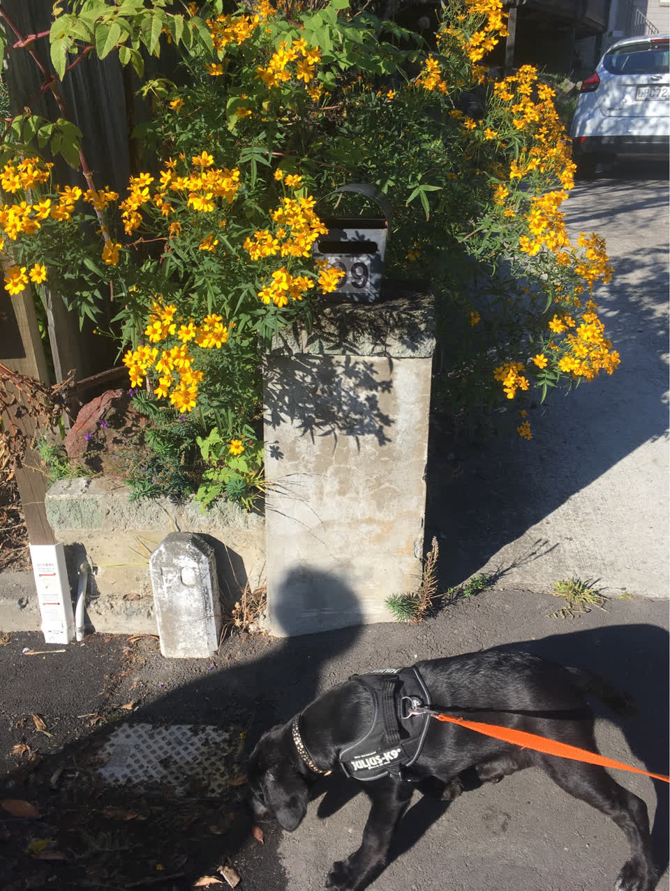 The photograph attached to this water supply report