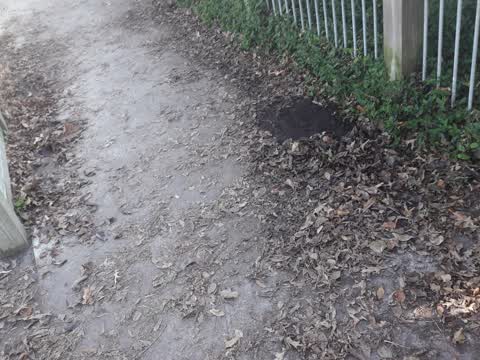 Parks, a report photo