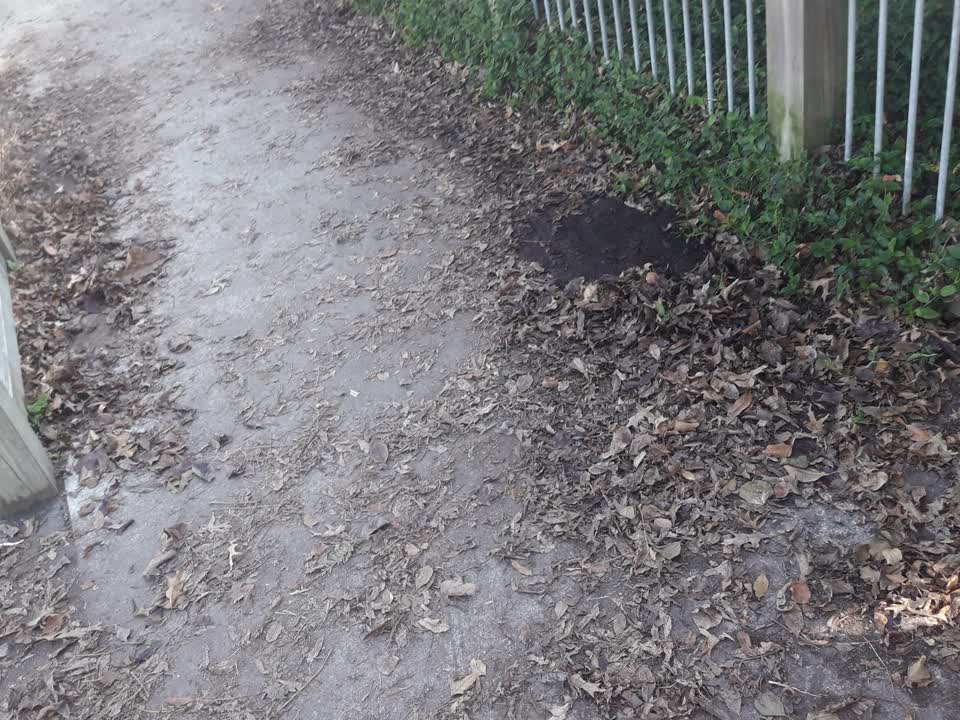The photograph attached to this parks report