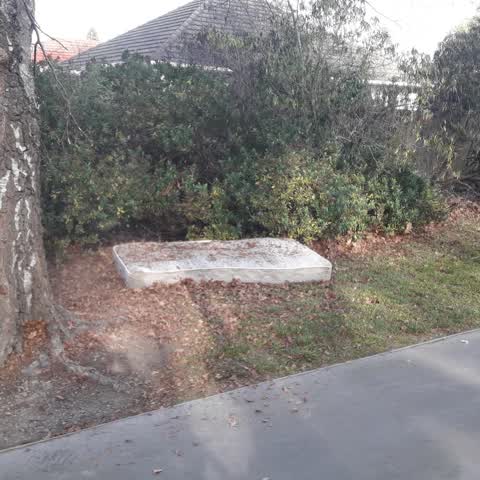 Parks, a report photo